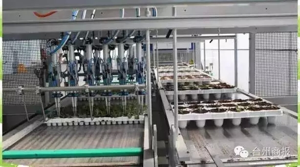 全程自動化無土栽培農場臺州誕生了