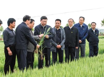 習(xí)近平在安徽考察 觀看中科大智能機(jī)器人