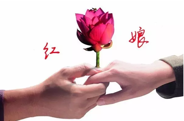 雙環(huán)傳動與新松機器人戰(zhàn)略合作
