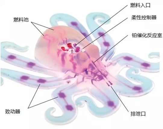 一文讀懂柔性機器人，看似“柔若無骨”的背后有哪些黑科技