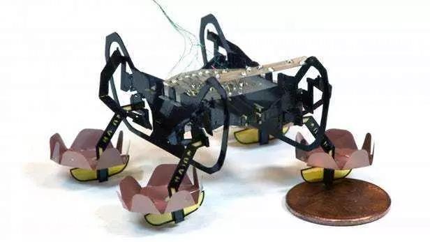 美國秘密研發微型機器人大軍