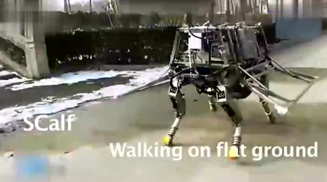 號稱比肩美軍的國產“大狗”機器人真身曝光