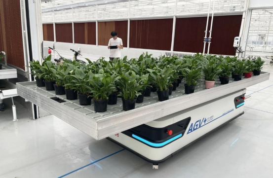 盤點AGV/AMR在5大農業場景的最新應用